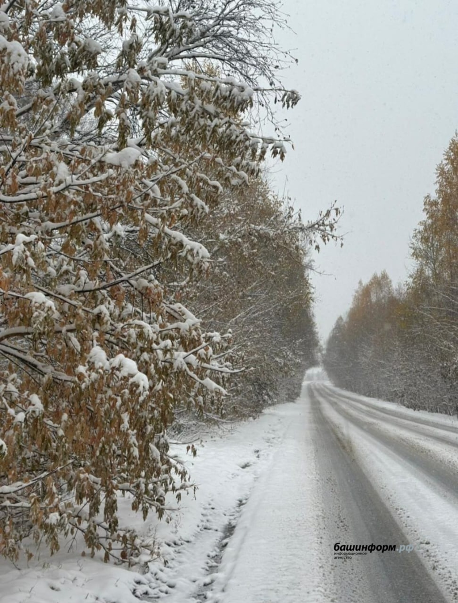 ИА Башинформ