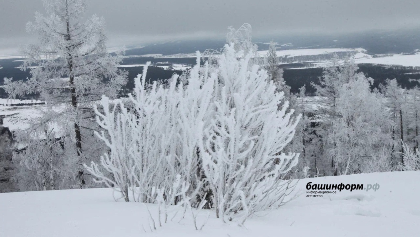 ИА Башинформ