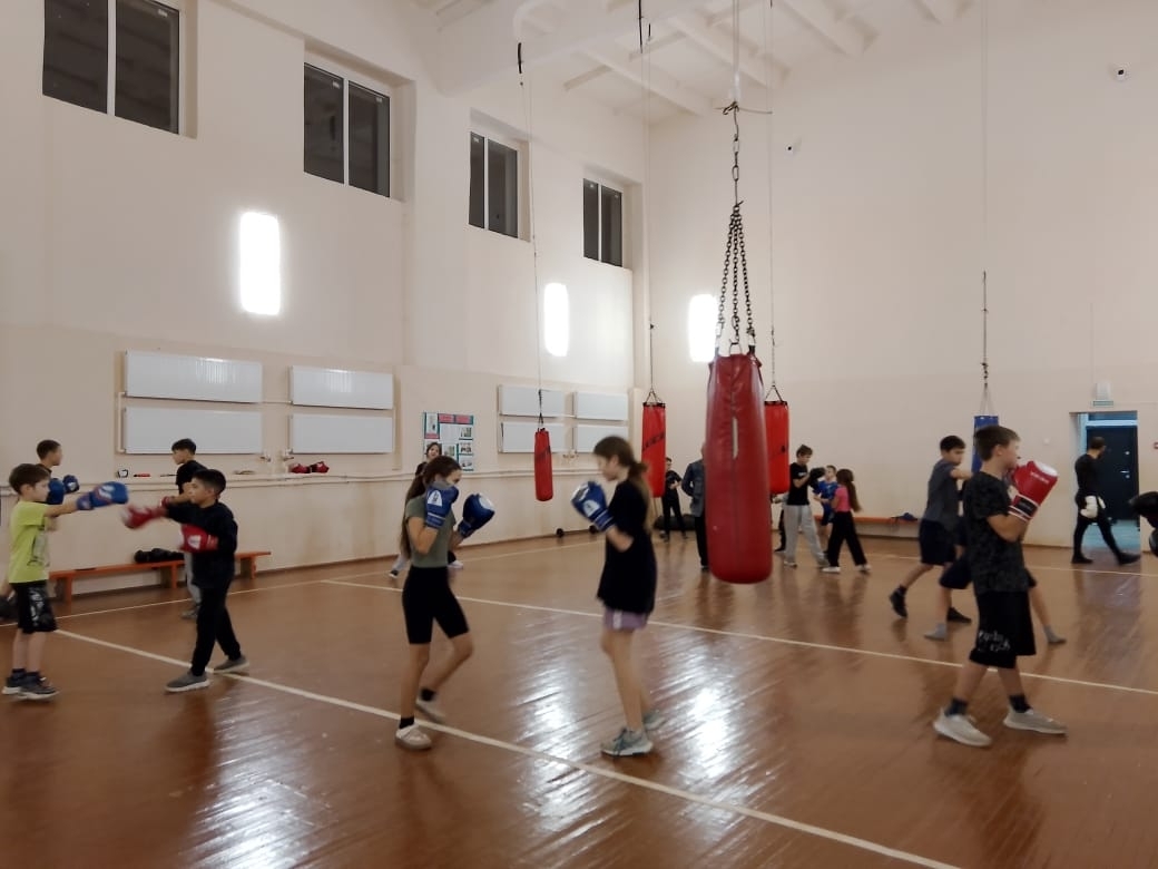 «Бокс выбирает сильнейших»