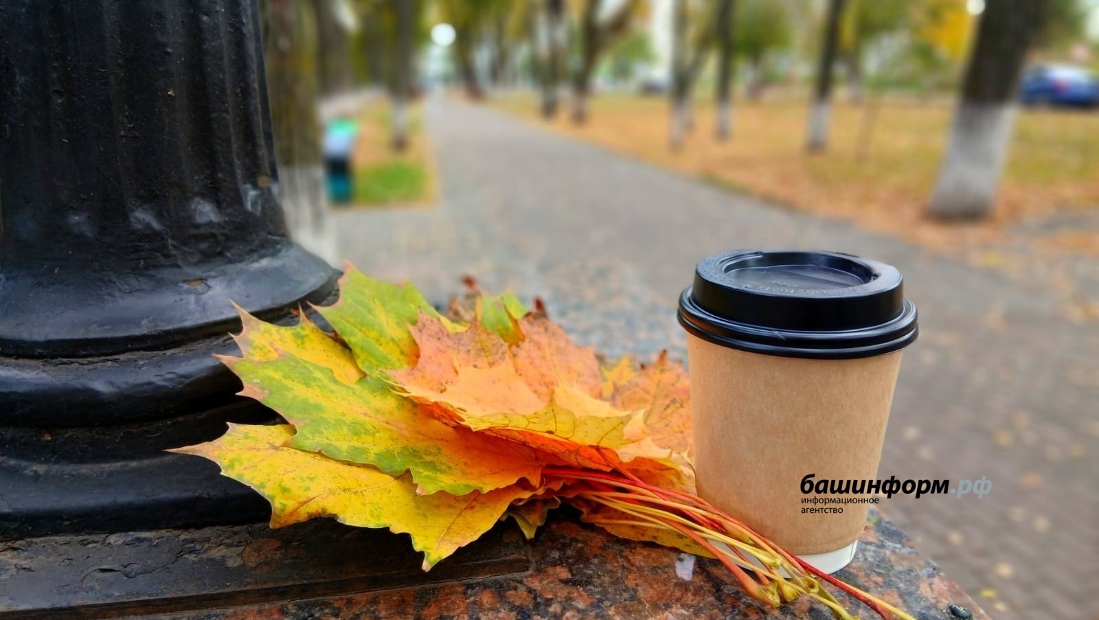 ИА Башинформ