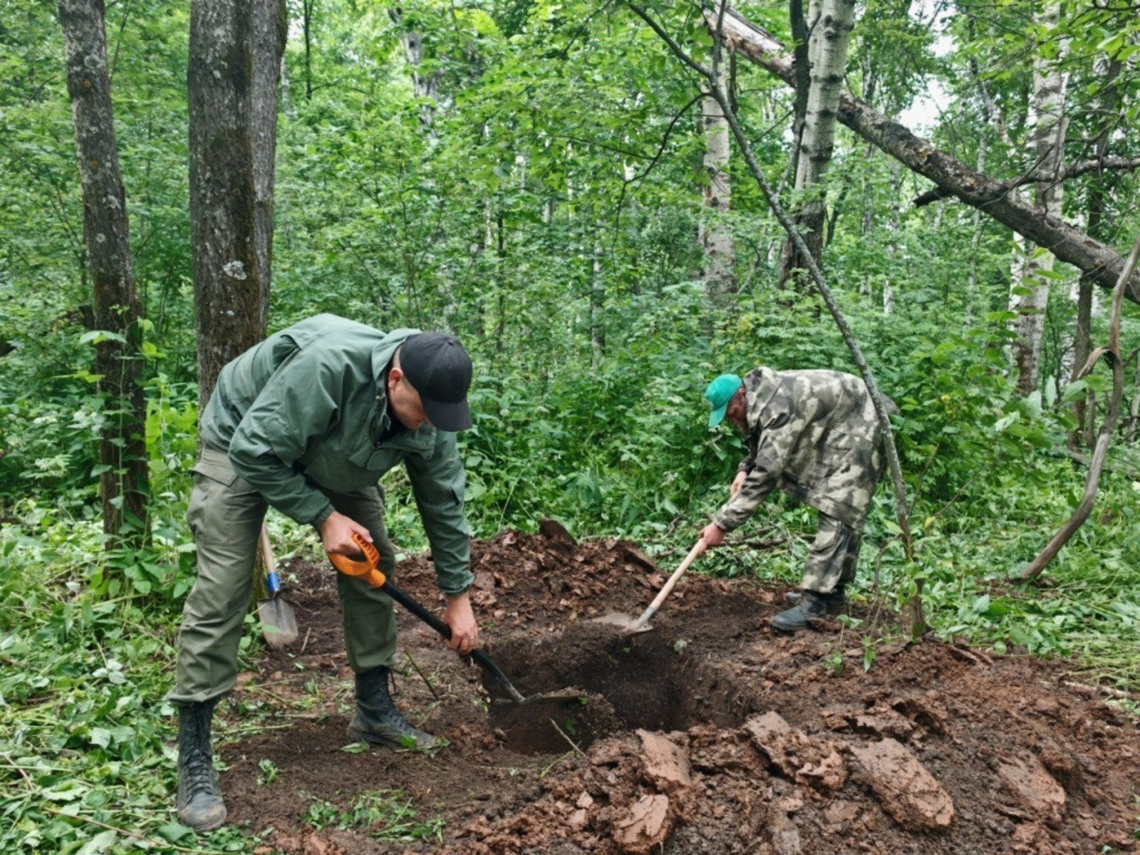 ИА Башинформ