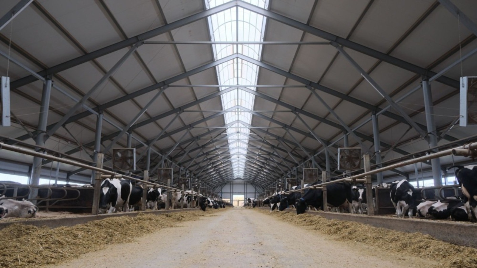 В Башкирии откроются пять современных молочных ферм