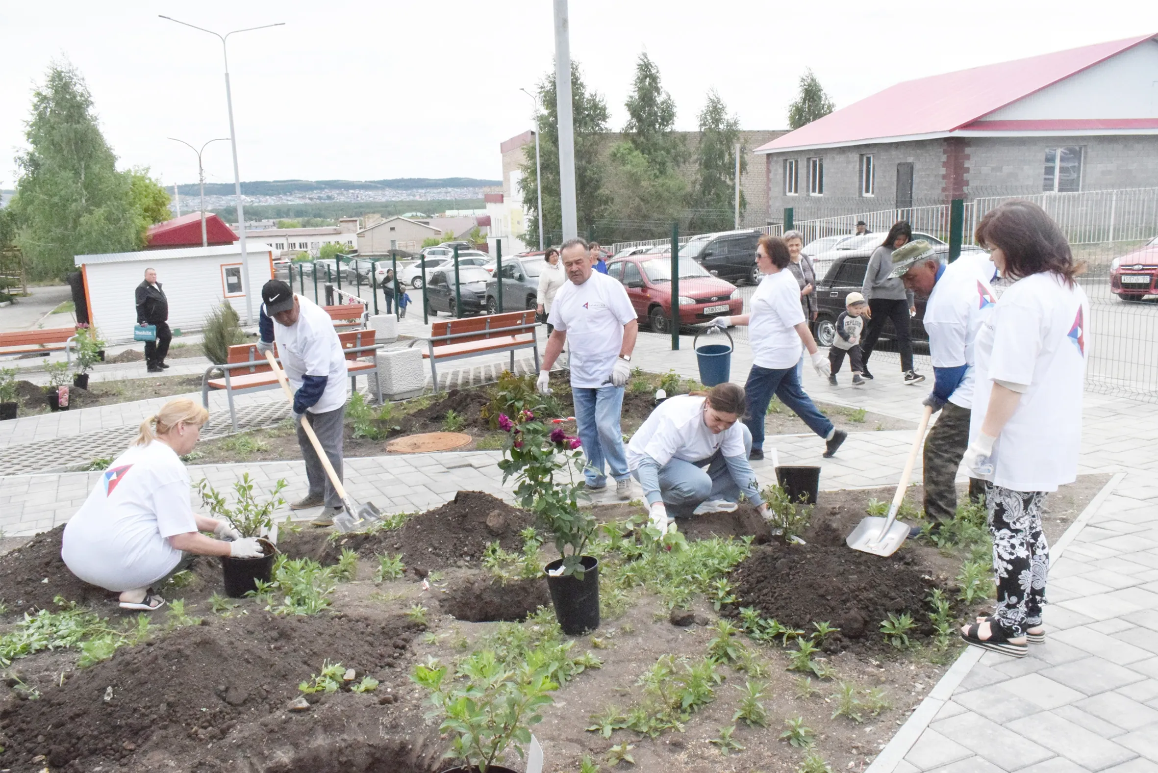 Розы, ели и гортензии для детской больницы