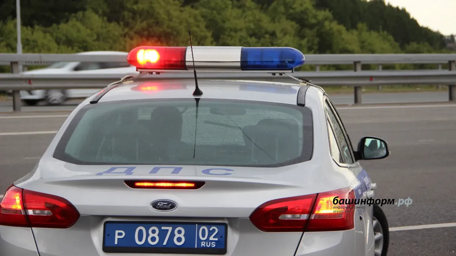 Проверено более 280 автомобилей