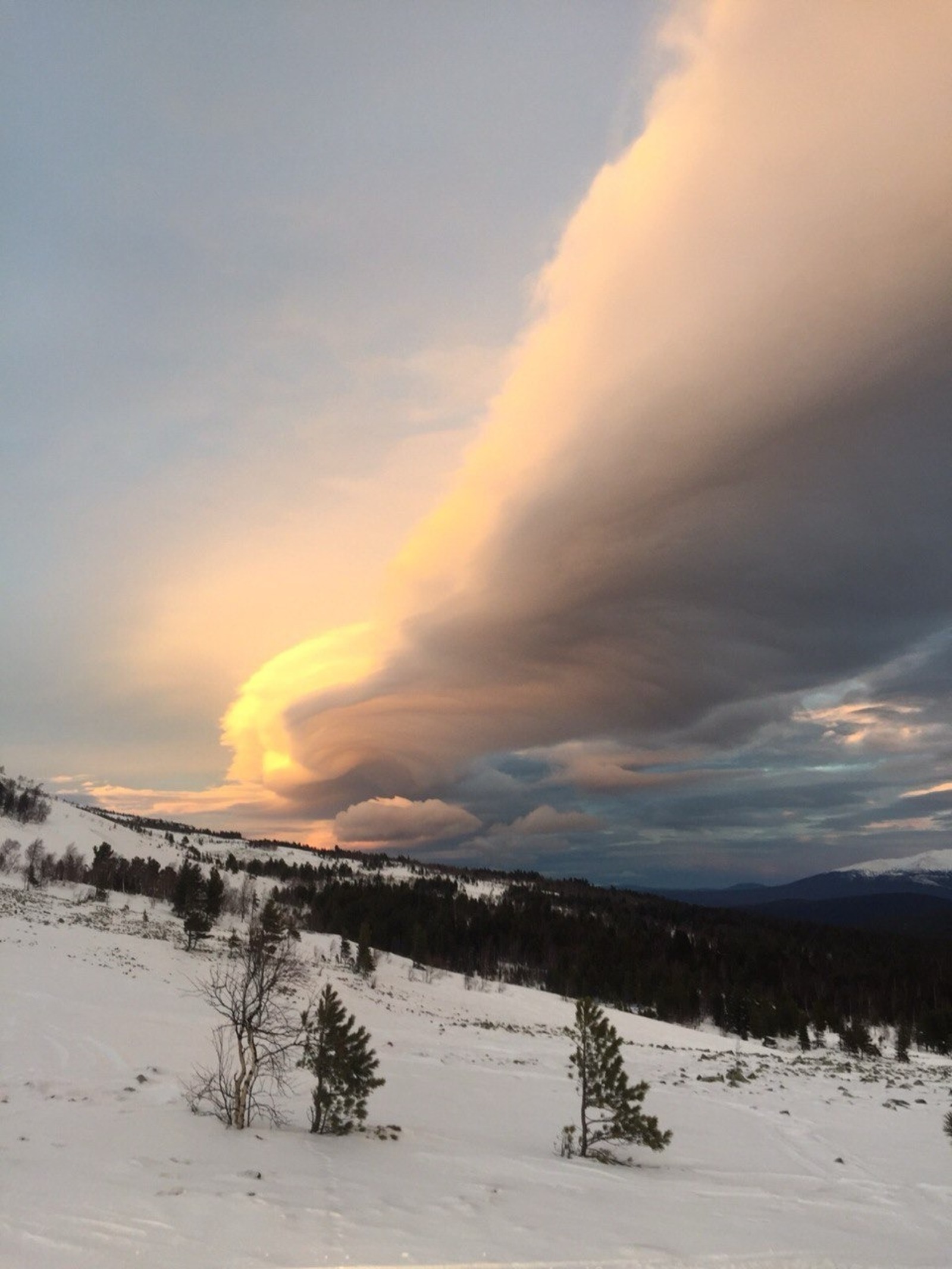 ИА Башинформ