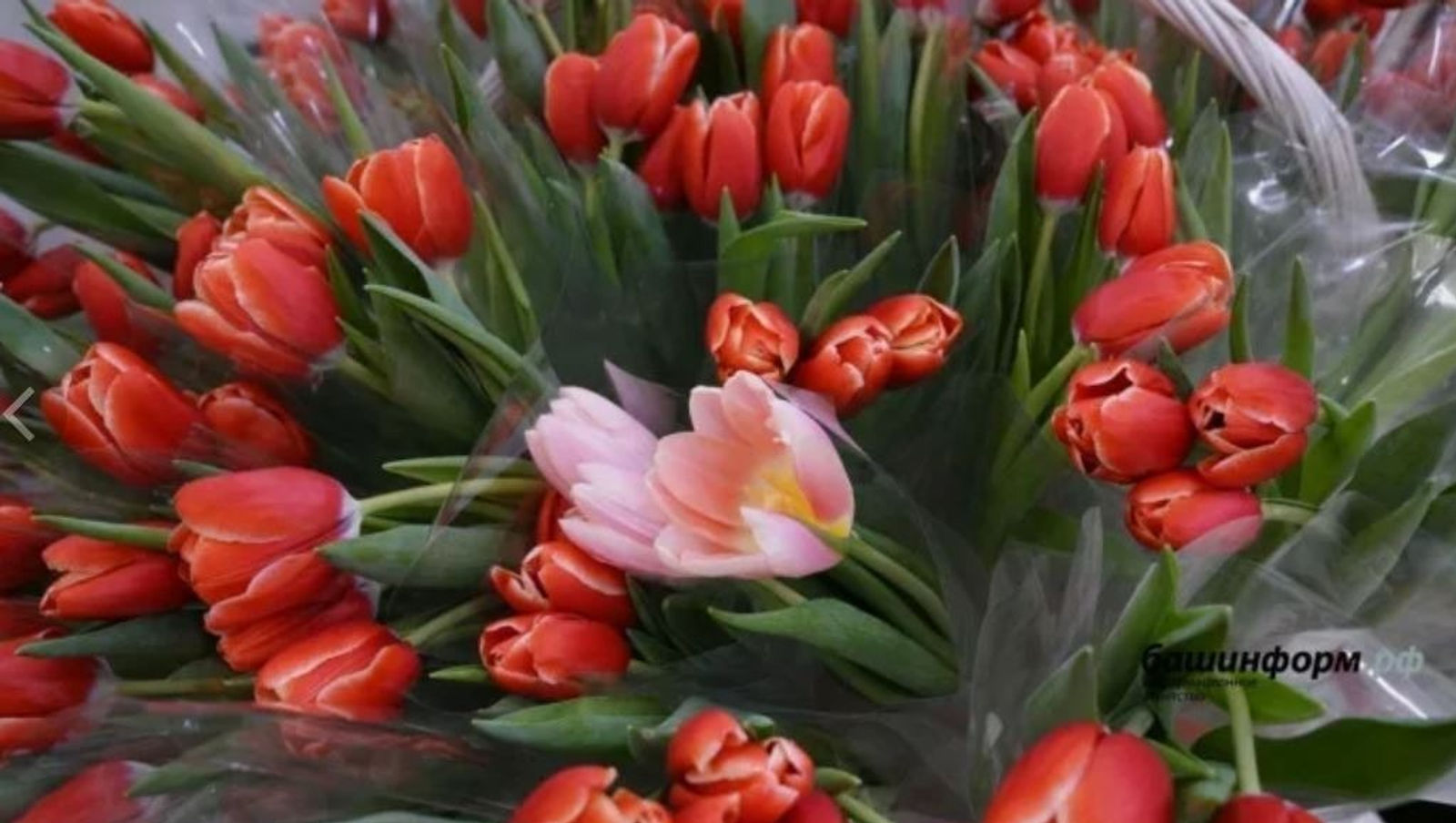 ИА Башинформ