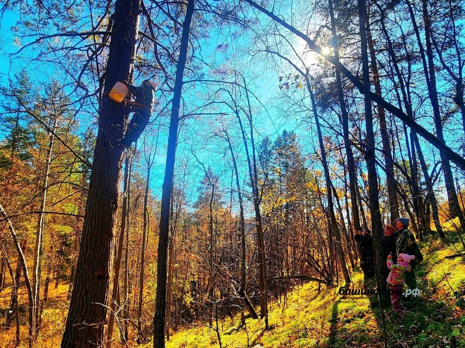 ИА Башинформ